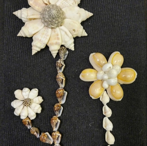 Franed Picture shell wall art 5x7inches - Picture 2 of 6